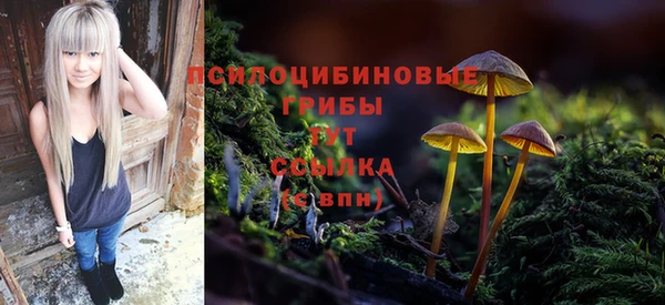 MDMA Богородицк