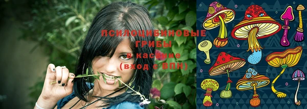 кокс Богородск