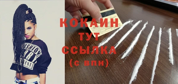 ешки Няндома