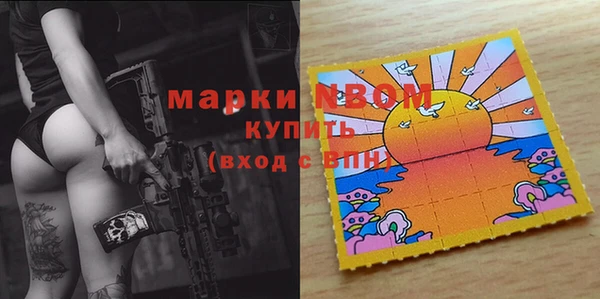 ешки Няндома